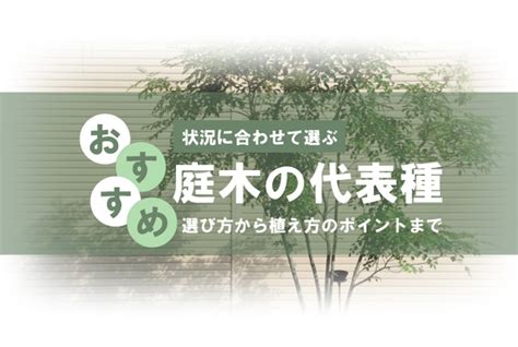 木 代表種|【状況別】庭木の代表種まとめ！選び方から植え方のポイ。